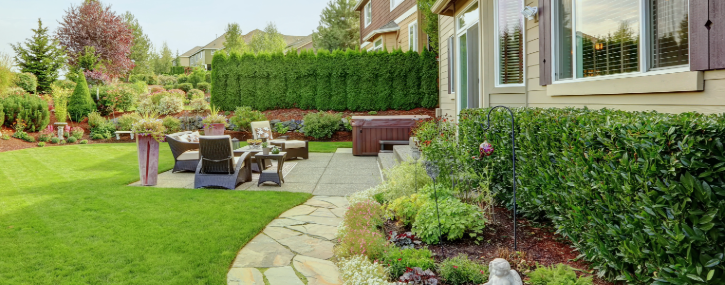 image of an outdoor space or backyard