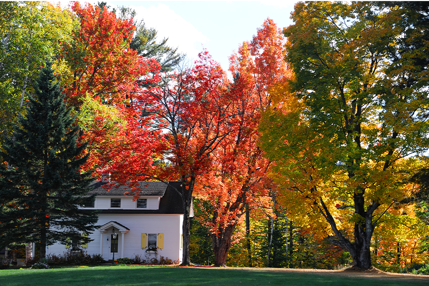 Why Fall Is A Great Time To Sell