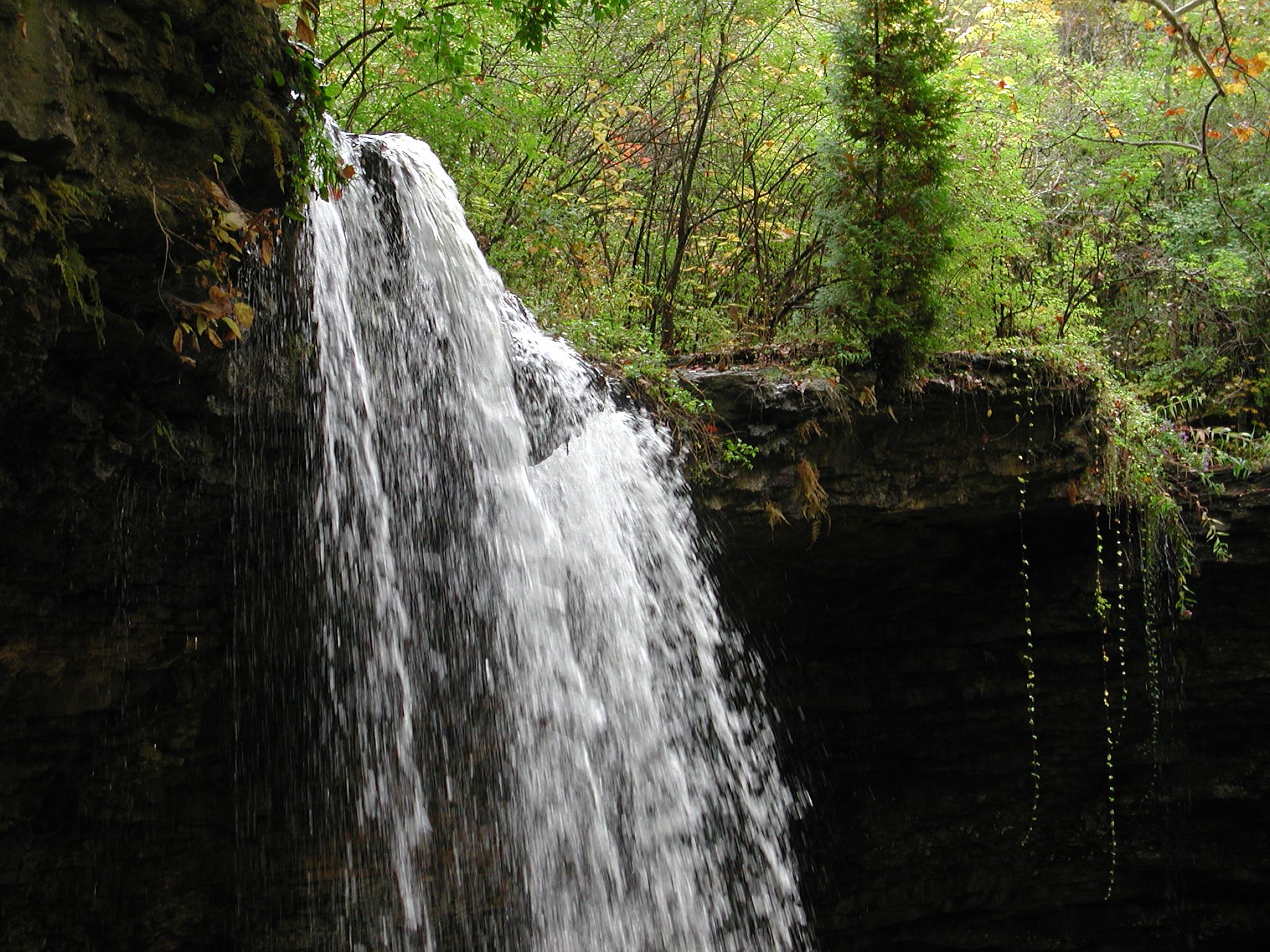 charleston falls