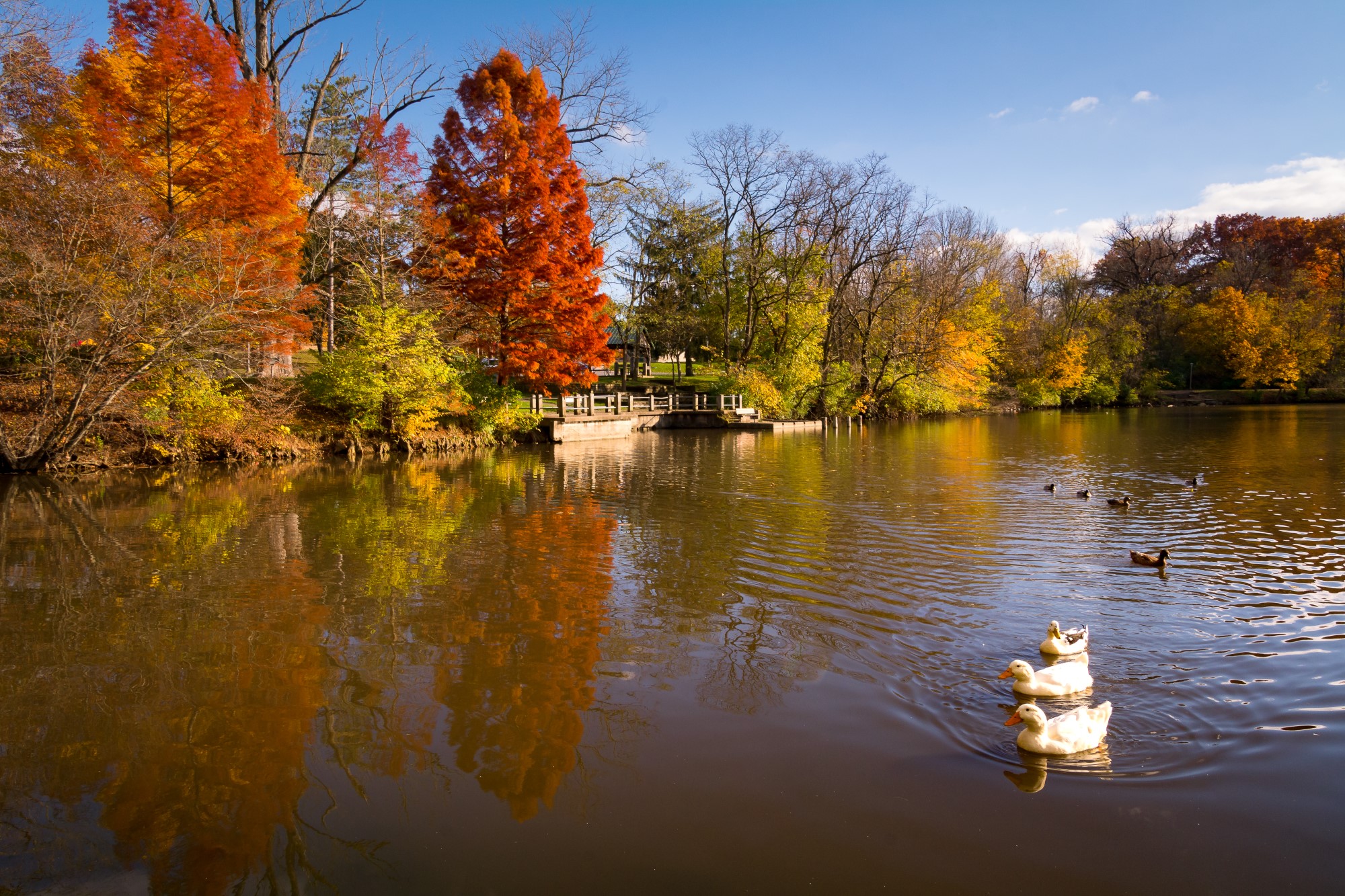 glen miller park