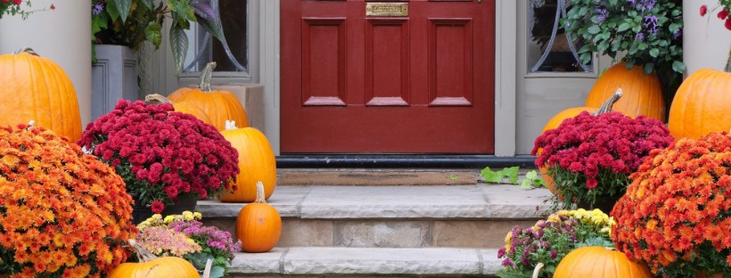 a front door of a home surrounded by fall decorations, such as pumpkins and fall plants