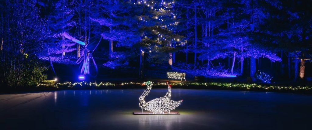 Lighted swan sculpture on pond surrounded by blue and white holiday lights at Pyramid Hill Sculpture Park in Hamilton, Ohio